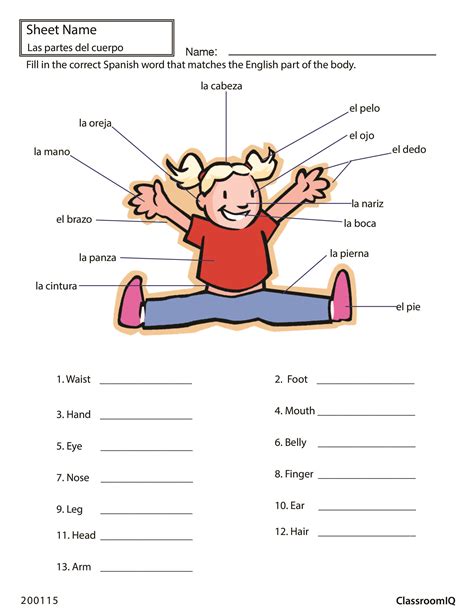 spanish body parts worksheet for kids